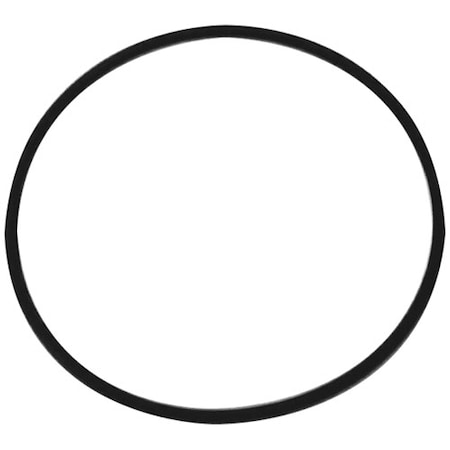 Allpoints O-Ring Saniserve Door 8009937